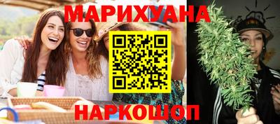 сатива Будённовск
