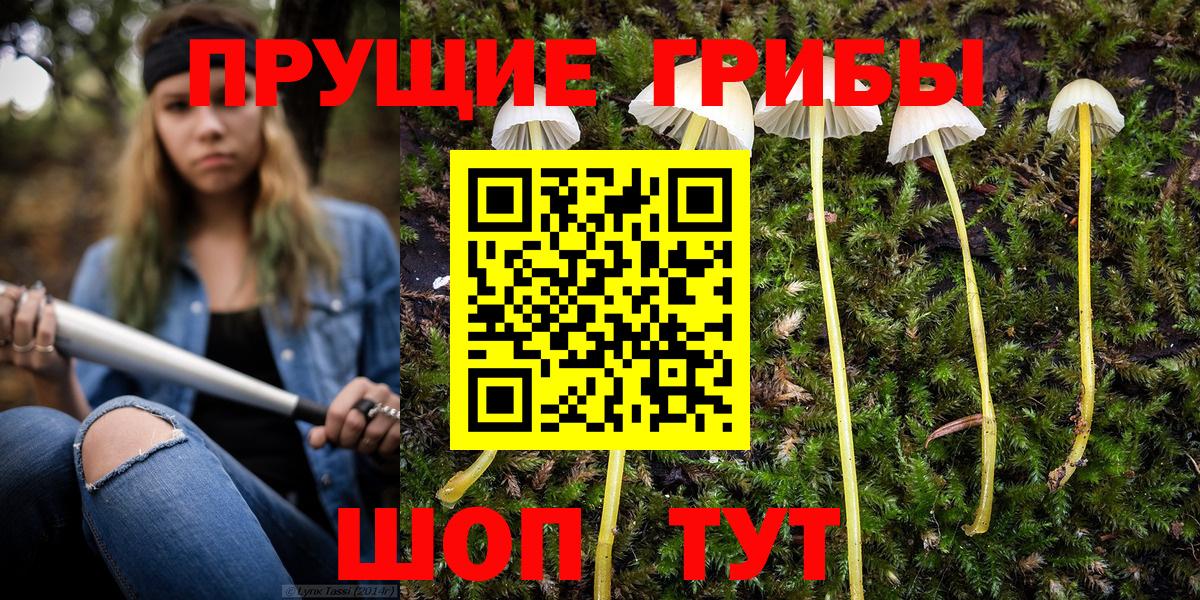 Псилоцибиновые грибы мухоморы Луховицы