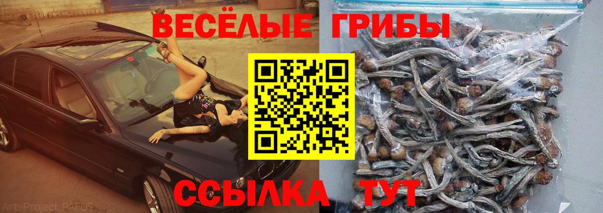 Луховицы  Галлюциногенные грибы Cubensis  Вход с VPN 